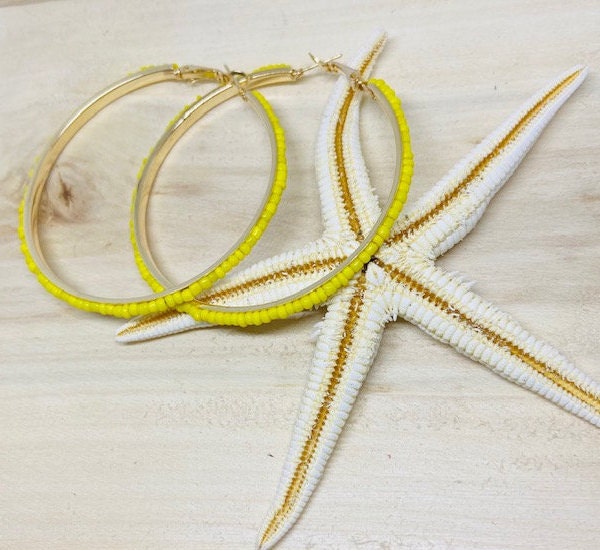 Yellow and Blue Beaded inset Hoop  Earrings